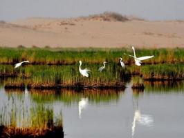 Sand Lake Ningxia